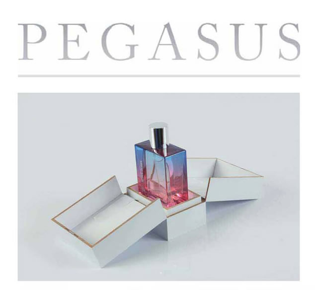 PEGASUS