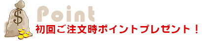 初回ご注文時ポイントプレゼント!
