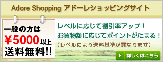 Adore Shopping アドーレショピングサイト